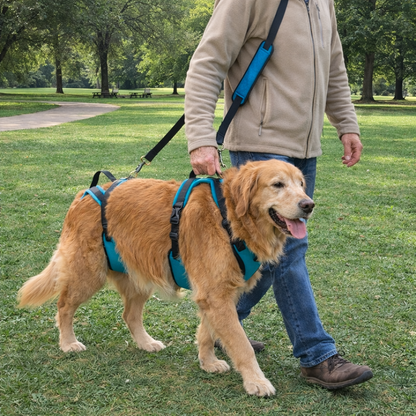 PetLift Pro™ Mobility Harness